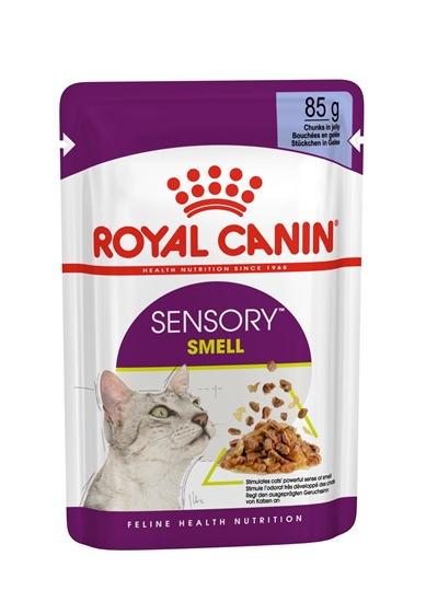 Picture of Royal Canin Sensory Smell Cat Food (In Gravy) 85g